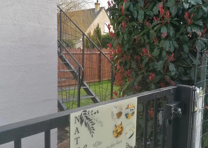 Natural Cosy أونفلور